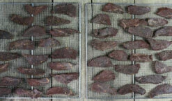 Jerky Kit - Buttery Prime Rib -Seasoning Sales 2024 IMG 1856 1024x1024 9f67abf2 3b31 473f a627 de8248dd9717
